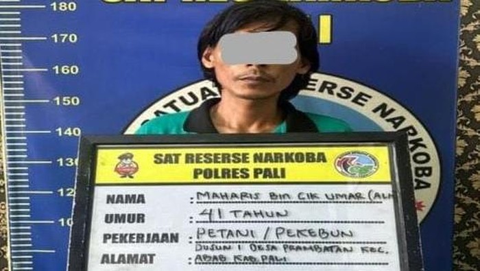Petani di PALI ditangkap polis karena menjadi pengedar sabuu
