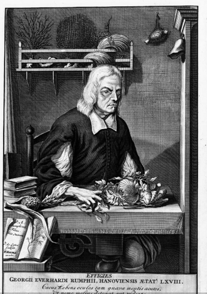 Rumphius, pakar botani Jerman di Ambon