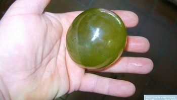 Valonia Ventricosa, organisme bersel tunggal terbesar di Bumi. Foto: Reddit via Bored Panda