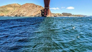 Begini rupanya tampilan bawah Golden Gate Bridge. Foto: ChirpyRaven via Bored Panda