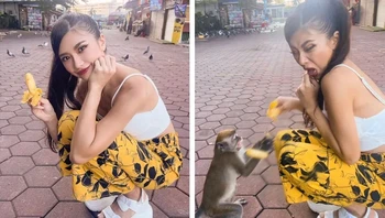 Foto yang diambil susah payah hasil memberanikan diri menghindari monyet. Foto: ViennaDoll via BoredPanda