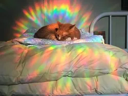 Foto-foto yang Diambil Random Tapi Gak Nyangka Hasilnya Nyeni