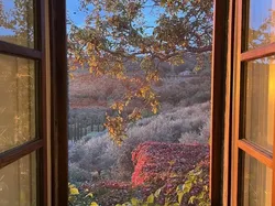 Foto-foto yang Diambil Random Tapi Gak Nyangka Hasilnya Nyeni