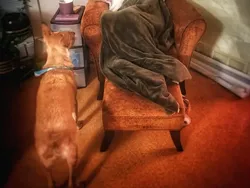 Foto-foto yang Diambil Random Tapi Gak Nyangka Hasilnya Nyeni