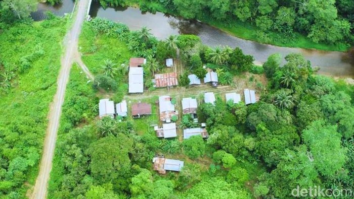 Kehidupan komunitas Suku Punan sunyi di tengah hutan Kalimantan Utara