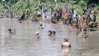 Ngubek empang merupakan kegiatan menangkap ikan secara berebut dengan tangan kosong di kolam yang telah disiapkan.