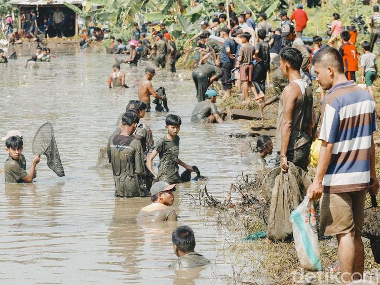Serunya Melihat Kegiatan Ngubek Empang, Tradisi Betawi Depok Jelang Lebaran
