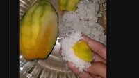 Beda halnya dengan pemilik akun @kataryans, ia gemar makan nasi putih tapi lauknya buah mangga muda. Foto: X/Instagram