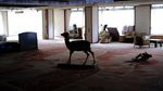 Wujud Hotel Glamor yang Kini Bak Ditelan Hutan