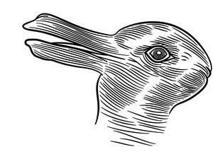 Ternyata Selama Ini Salah, Begini Mengartikan Kepribadian dari Ilusi Bebek-Kelinci