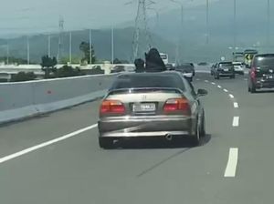 Viral Bocah Nongol dari Sunroof Mobil Saat Melintas di Tol Surabaya-Malang