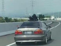 Duh! Viral Bocah Nongol dari Sunroof Mobil di Tol, Ini Bahayanya