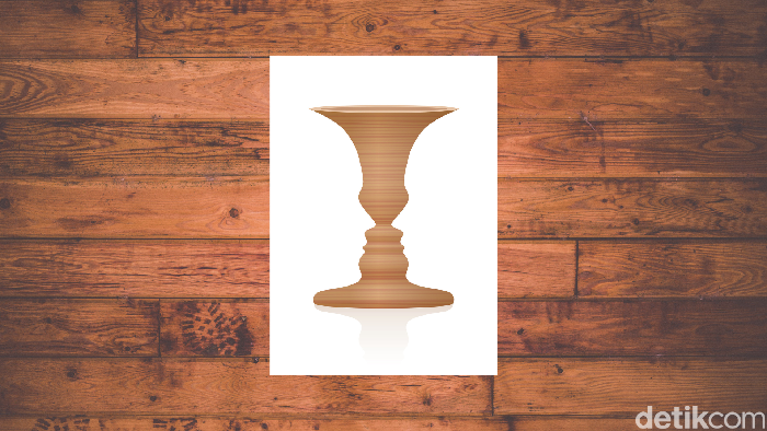 asah otak ilusi optik gambar ambigu