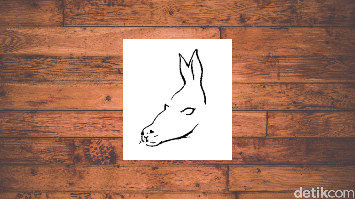 asah otak ilusi optik gambar ambigu