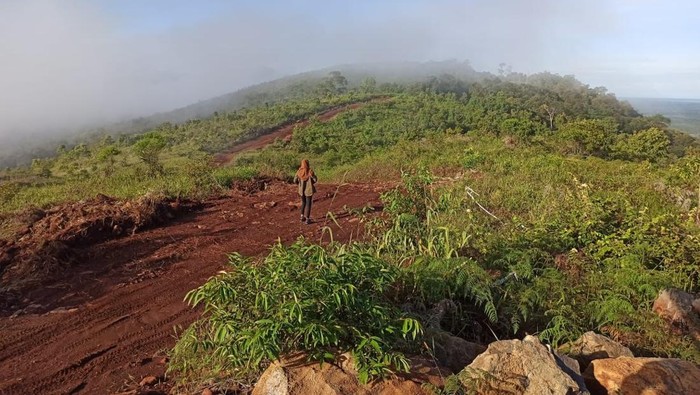 Bukit Pendopo di Kabupaten Banjar, Kalimantan Selatan.
