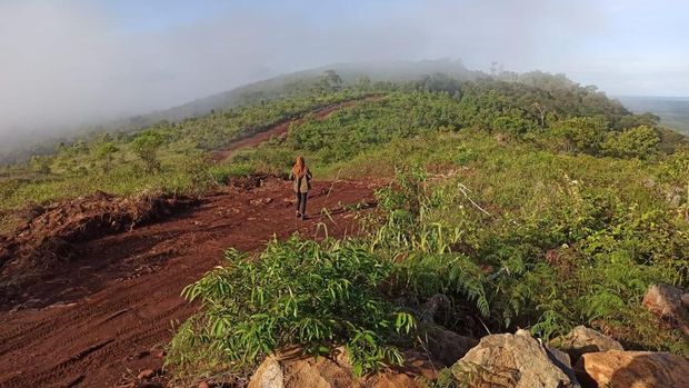 Bukit Pendopo di Kabupaten Banjar, Kalimantan Selatan.