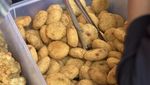 Pedas Nagih! 20 Combro Enak Rp 1.000-an Ada di Sini