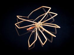 Aneka Hewan Misterius yang Ditemukan di Kedalaman Antartika