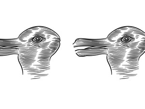 Kenapa Ilusi Bebek-Kelinci Gampang Sekali Menipu Otak? Ini Penjelasan Logisnya