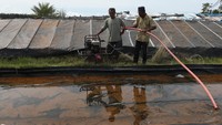 Pekerja menyaring air laut yang telah diendapkan untuk bahan baku garam di Desa Lamnga, Aceh Besar, Aceh.