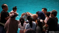 Menurut salah satu pengunjung, Sinta (32), pertunjukan ini sangat menghibur, terutama bagi anak-anak.