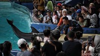 Taman Impian Jaya Ancol masih menjadi pilihan bagi warga Jakarta dan sekitarnya yang ingin melepas penat sambil menikmati hiburan edukatif bersama keluarga.