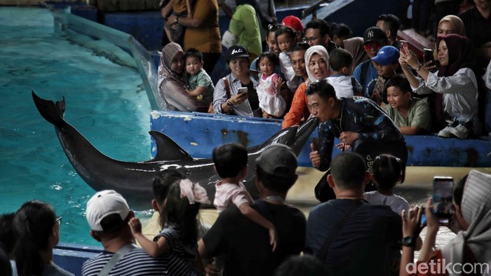Menikmati Libur Waisak dengan Melihat Atraksi Lumba-lumba Ratusan pengujung menikmati pertunjukan lumba lumba di Ocean Dream Ancol, Jakarta Utara, Senin (12/5/2025).
