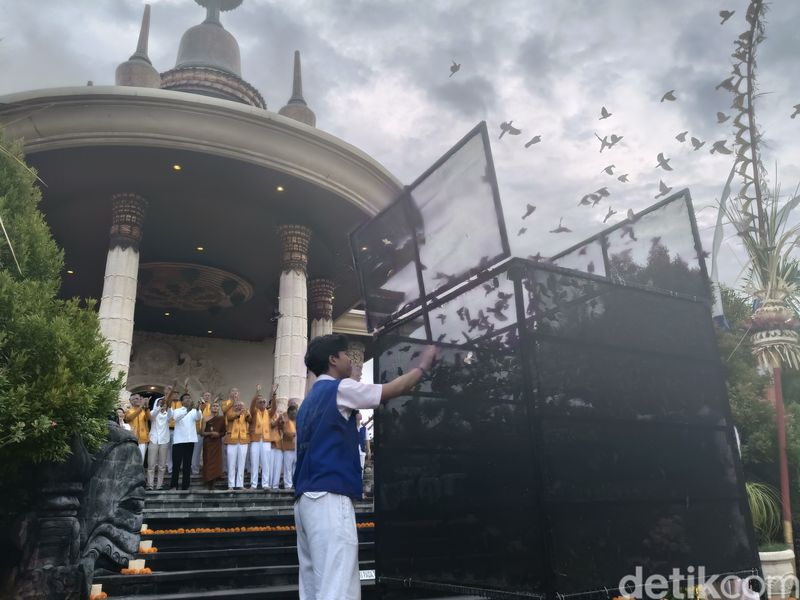 Prosesi Abhayadana atau pelepasan dua ribu ekor burung ke alam bebas saat perayaan Waisak di Vihara Buddha Sakyamuni Denpasar, Bali, Senin (12/5/2025). (Foto: Karsiani Putri/detikBali)