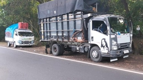 Truk dan pikap yang terlibat kecelakaan beruntun di Jalan Denpasar–Gilimanuk, Senin (12/5/2025).