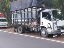 Tiga Kendaraan Kecelakaan Beruntun di Jalan Denpasar-Gilimanuk