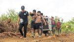 Perjalanan Orangutan di Ketapang Kembali ke Rimba