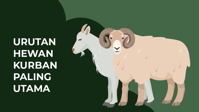 Urutan Hewan Kurban Paling Utama