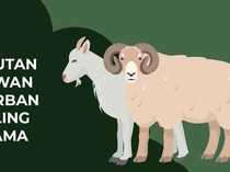 Urutan Hewan Kurban Paling Utama