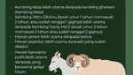 Urutan Hewan Kurban Paling Utama