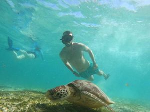 Penyu Hijau, Ikan, dan Patung Sepasang Kekasih di Gili Tramena