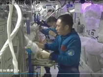 Astronaut China Teliti Regenerasi Cacing Pipih di Luar Angkasa