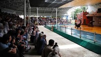 Sejak pagi, area pertunjukan sudah dipadati pengunjung dari berbagai daerah. Mereka antusias menyaksikan aksi lucu dan pintar para singa laut yang tampil bersama pelatih profesional.