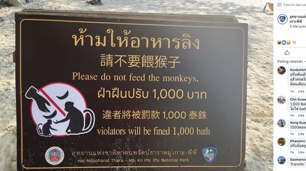 Aturan larangan memberi makanan kepada monyet liar di Taman Nasional Kepulauan Hat Noppharat Thara-Phi Phi, Krabi, Thailand.