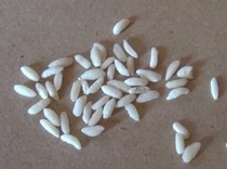 Heboh Beras Diduga Palsu Ditemukan IRT di Batanghari