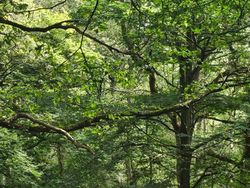 Bukan Foto Hantu Tapi Bikin Merinding, Penakut Jangan Lihat Ya