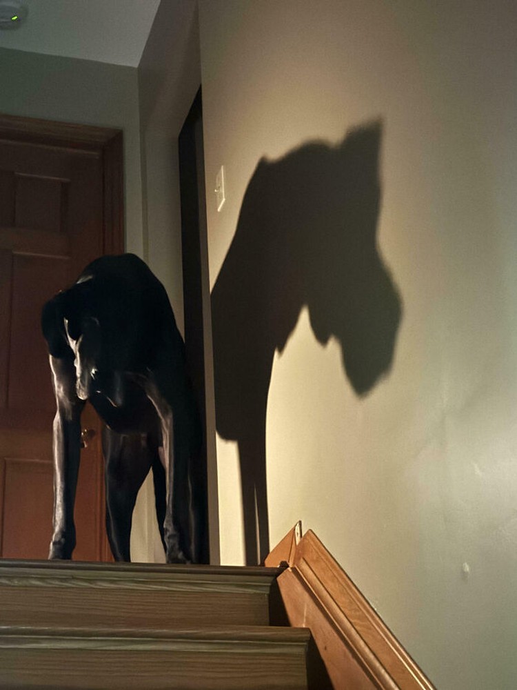 Ternyata tak hanya penampakan hantu yang tertangkap kamera yang menyeramkan. Sederet foto ini bisa bikin merinding, meskipun tidak ada hantunya.