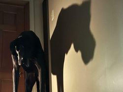 Bukan Foto Hantu Tapi Bikin Merinding, Penakut Jangan Lihat Ya