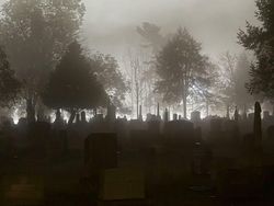 Bukan Foto Hantu Tapi Bikin Merinding, Penakut Jangan Lihat Ya