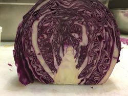 Definisi Foto Diambil di Tempat dan Waktu yang Tepat