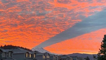 Seperti membuat jalur menuju gunung yang berada di ujung gambar. Foto: (Bored Panda).