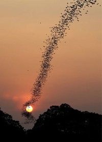 Siapa sangka beberapa momen ini tak sengaja tertangkap kamera, tapi malah hasilnya luar bisa. Ini namanya berada di tempat yang tepat pada waktu yang tepat juga.