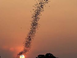 Definisi Foto Diambil di Tempat dan Waktu yang Tepat