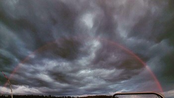 Pelangi merah di Finlandia. Foto: (Bored Panda).