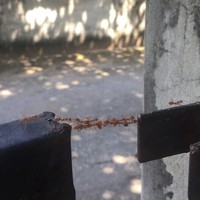 Siapa sangka beberapa momen ini tak sengaja tertangkap kamera, tapi malah hasilnya luar bisa. Ini namanya berada di tempat yang tepat pada waktu yang tepat juga.