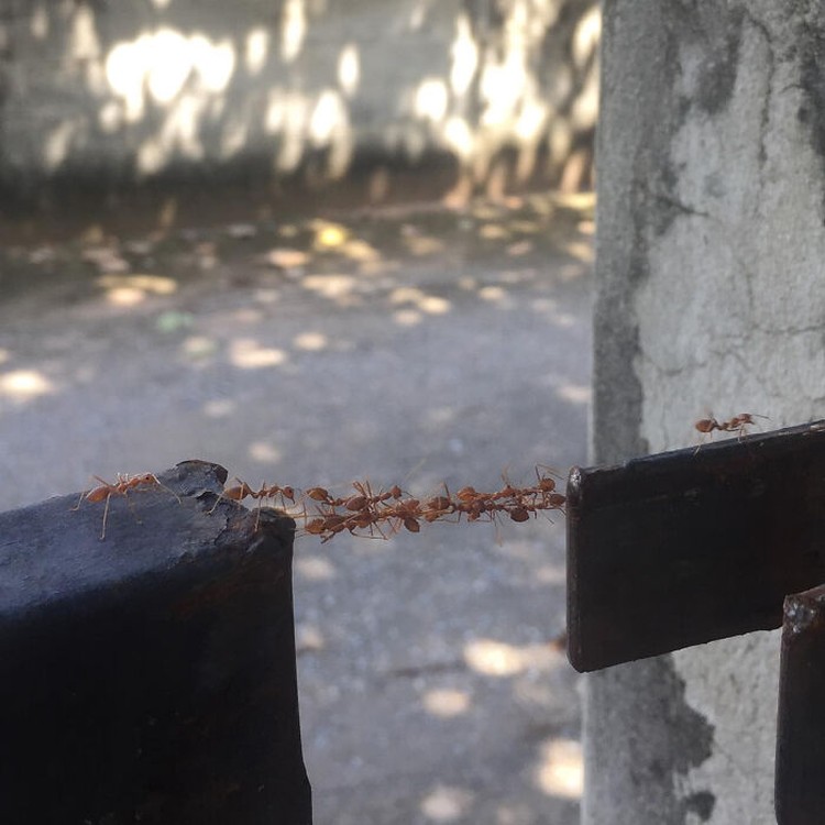 Siapa sangka beberapa momen ini tak sengaja tertangkap kamera, tapi malah hasilnya luar bisa. Ini namanya berada di tempat yang tepat pada waktu yang tepat juga.